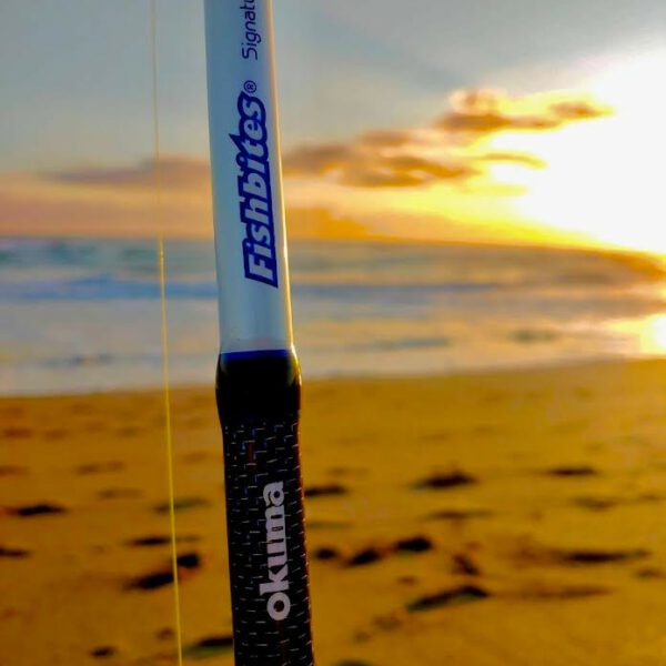 surf fishing rod