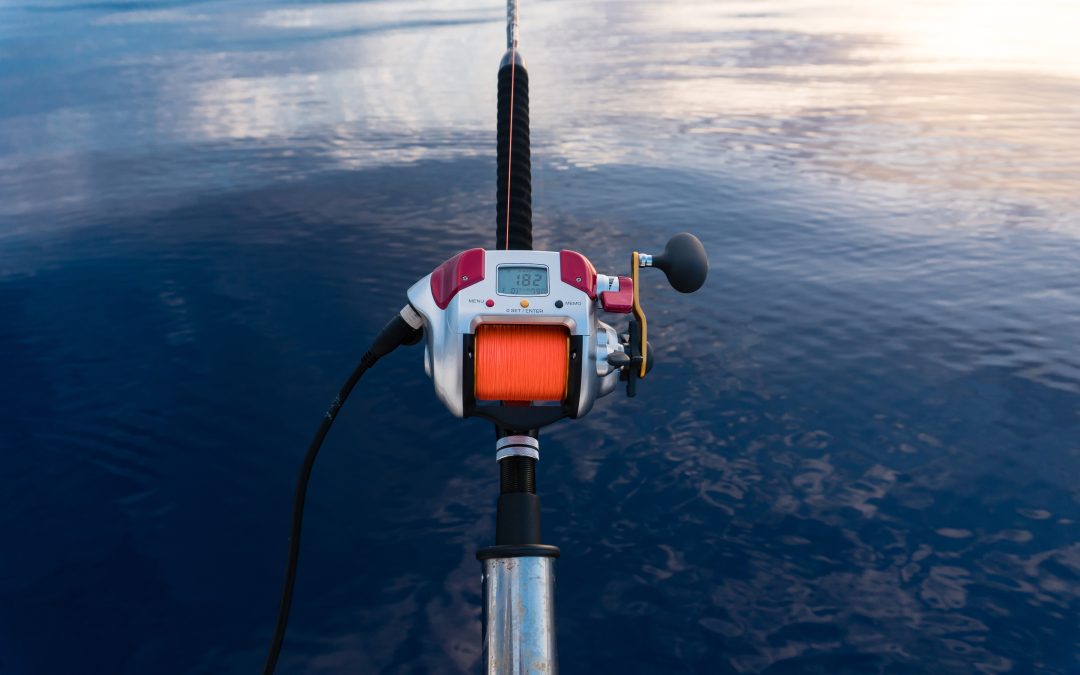 Best Electric Fishing Reels of 2023