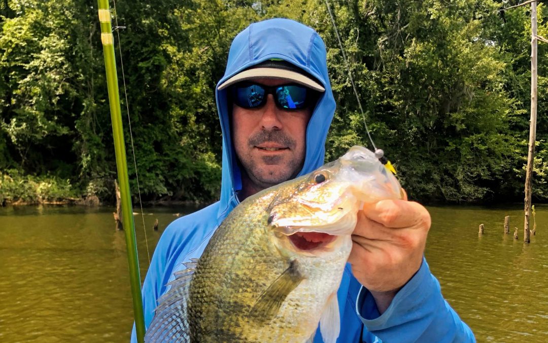 The Best Panfish Rods For 2023