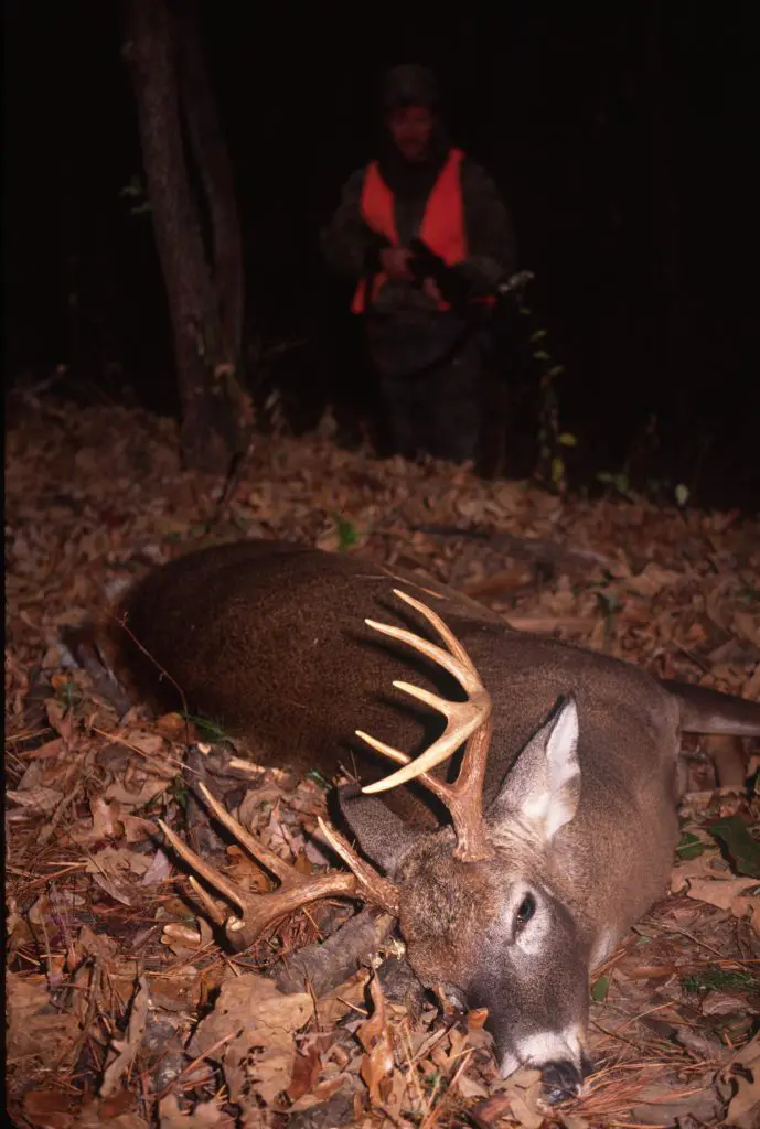 How To Field Dress A Deer How To Field Dress A Deer