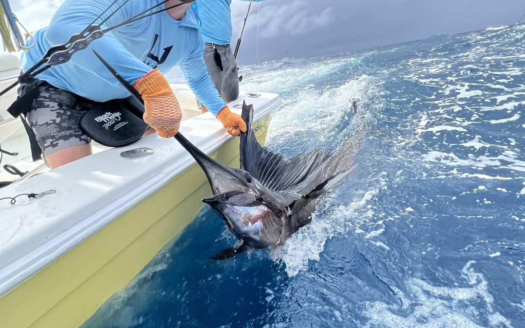 Costa Rica Fishing Charters – A Seasonal Guide