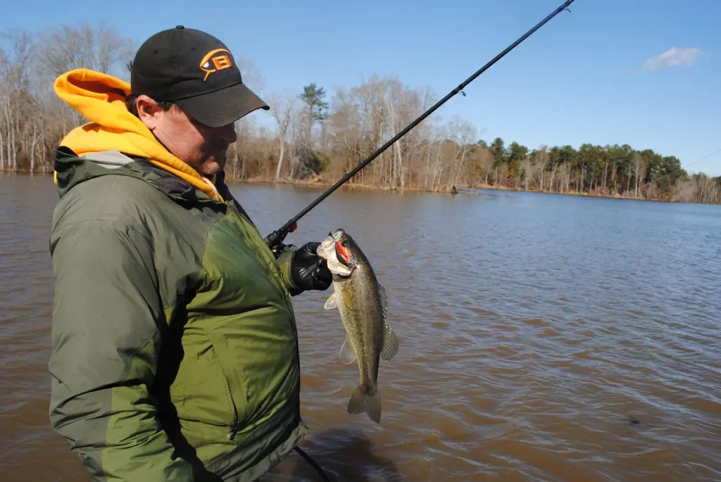 fish finder lets reel them in 4REEL Rig Distinguishes Fishes Shop Fish Finders | L&M