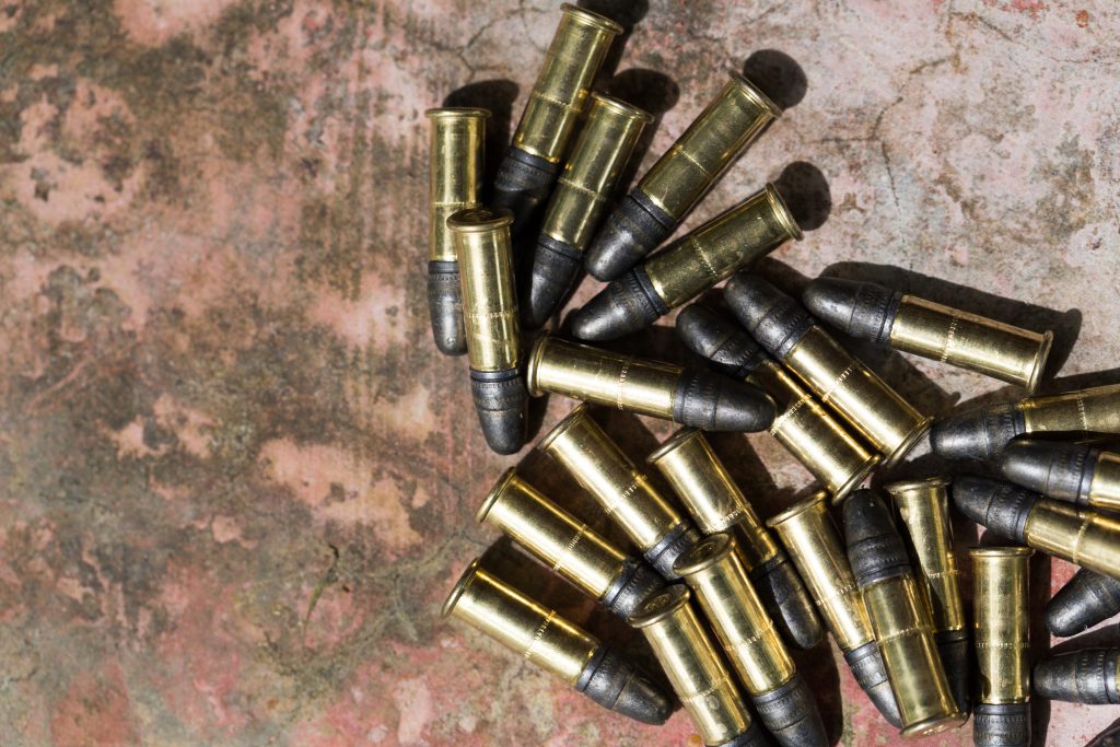 22 LR ammo