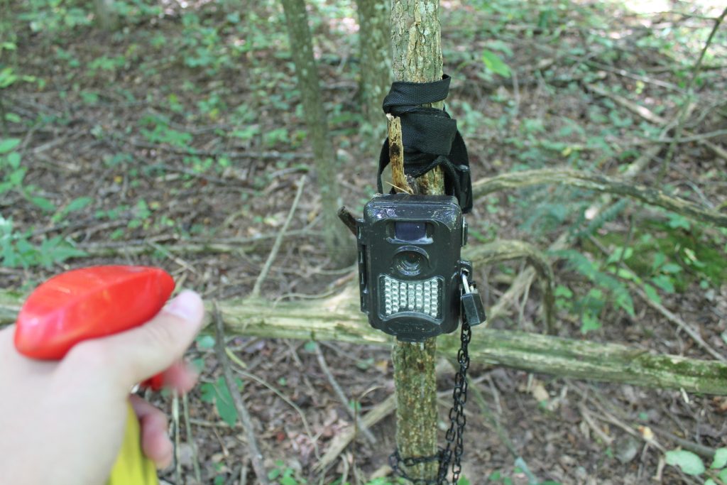 pre rut hunting tips trail camera