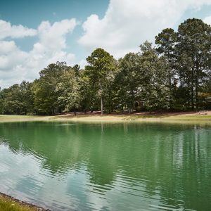 Pond Weed Killer Options For Your Water