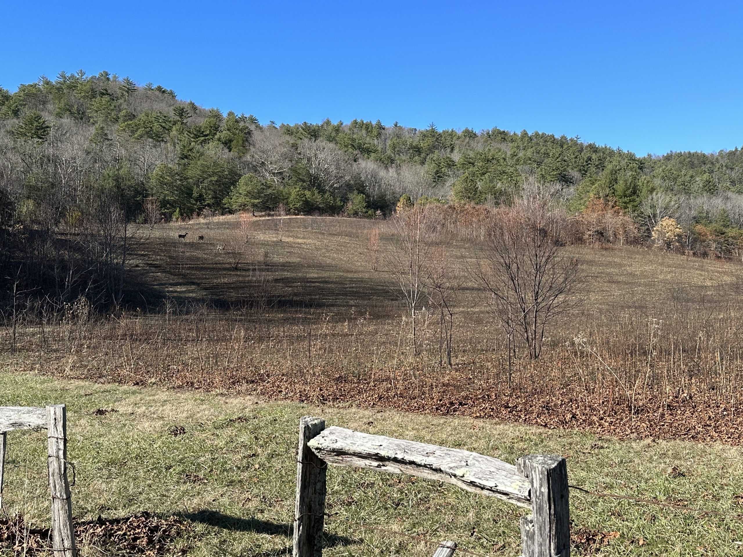 land