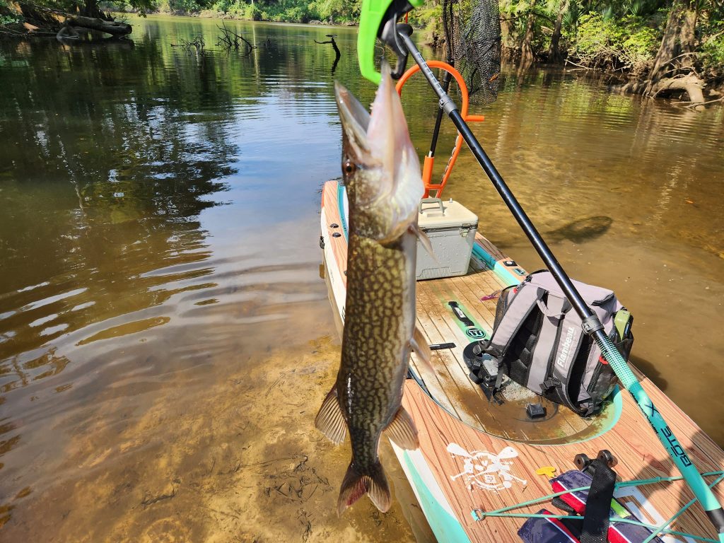 fishing paddle board