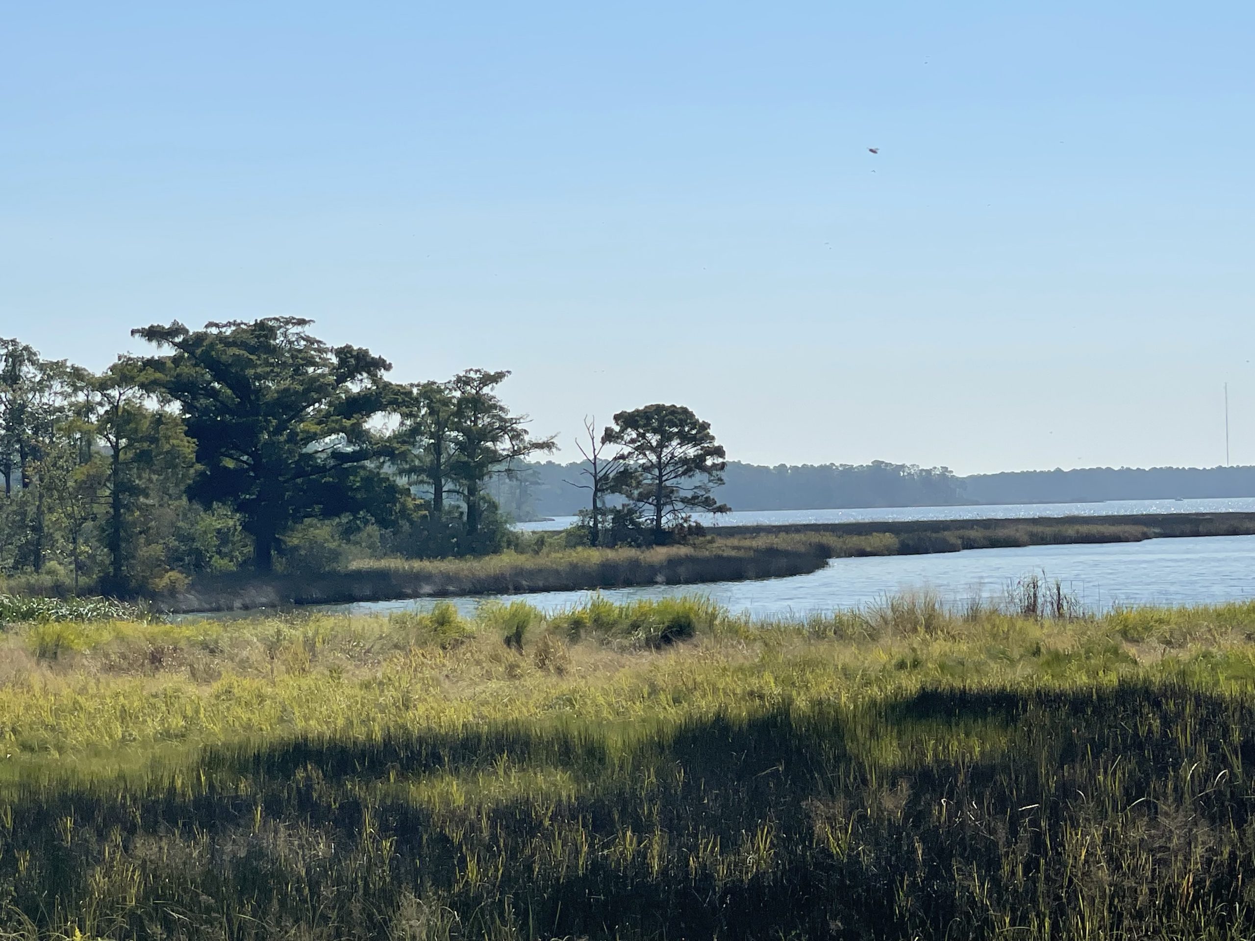 Lenders That Accept Land As Collateral