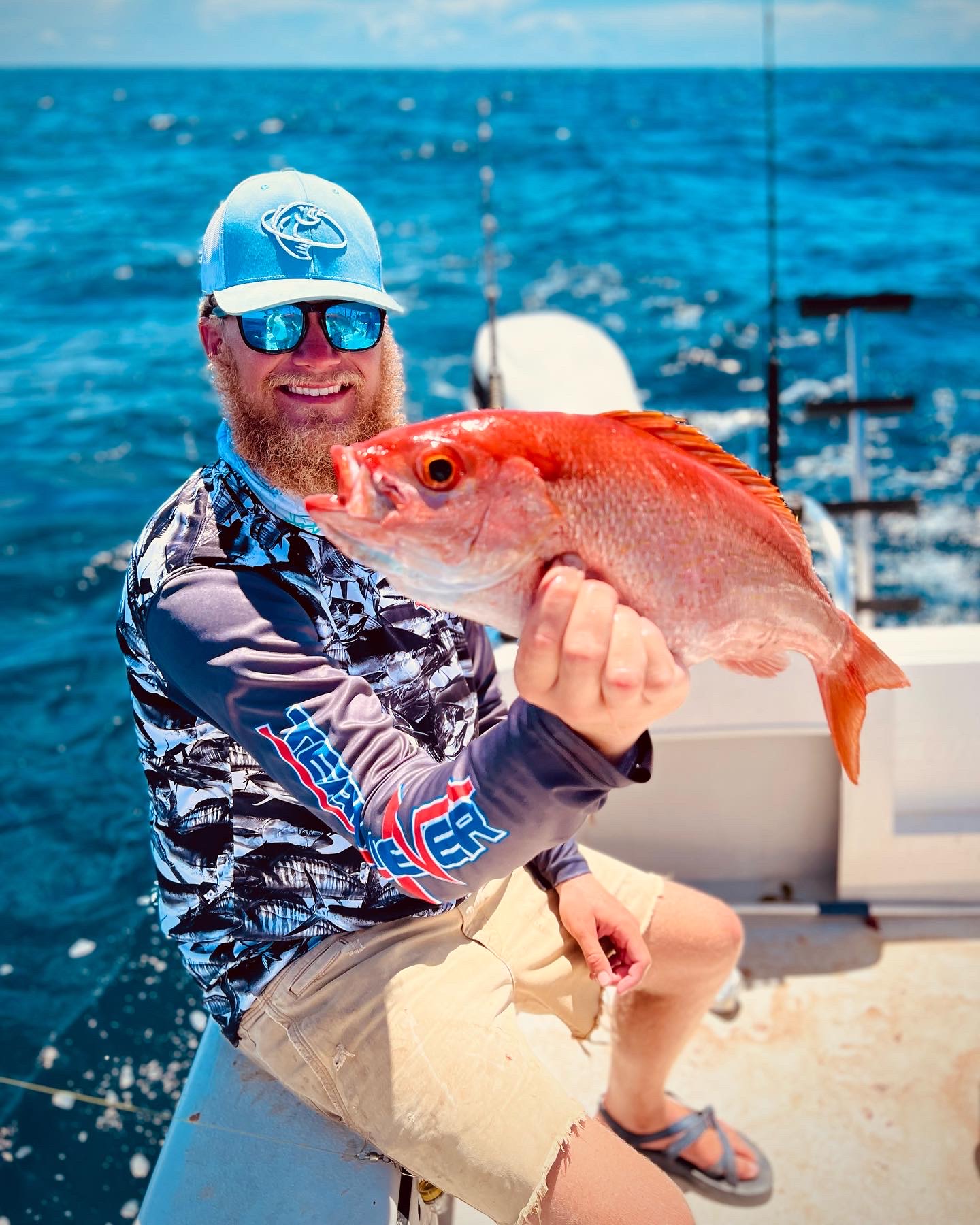 vermillion snapper