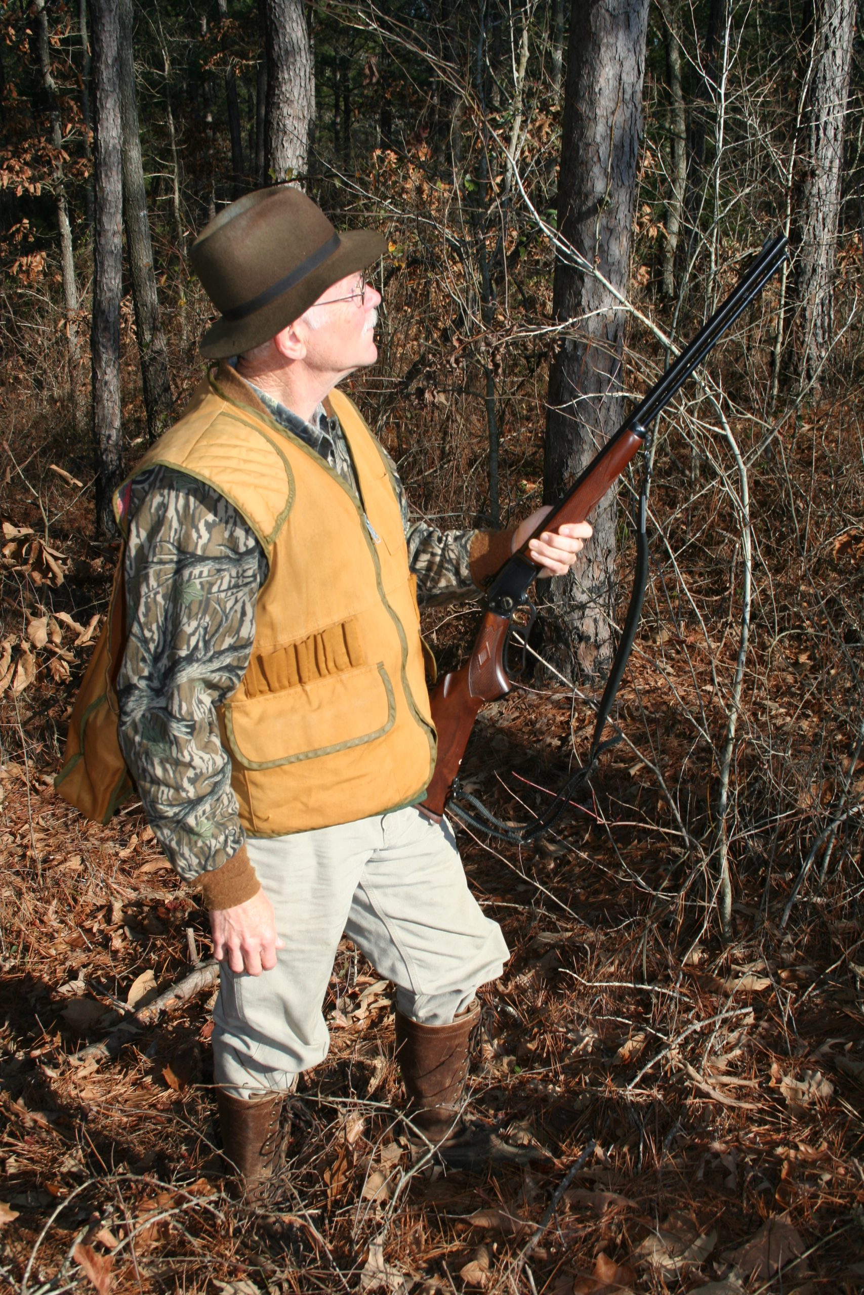 good feist squirrel hunting dog