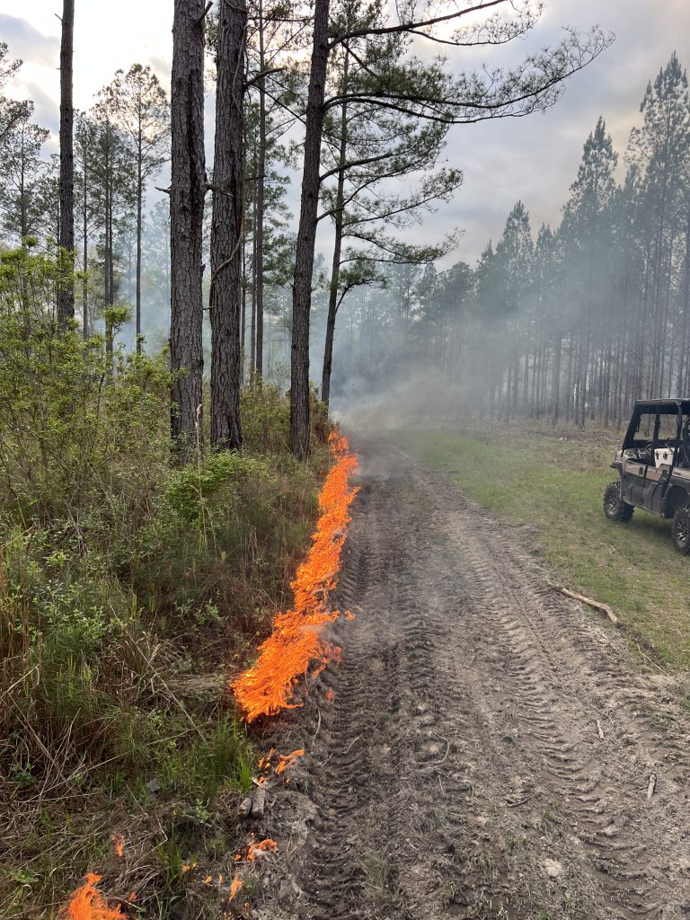 firebreak