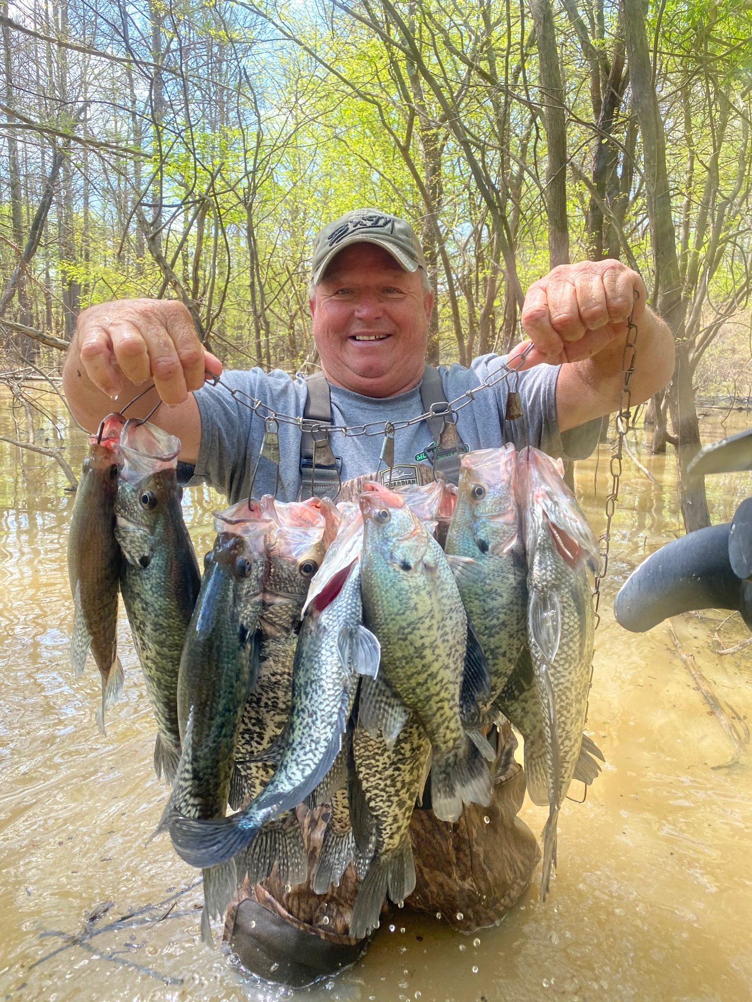 Grenada Lake Crappie