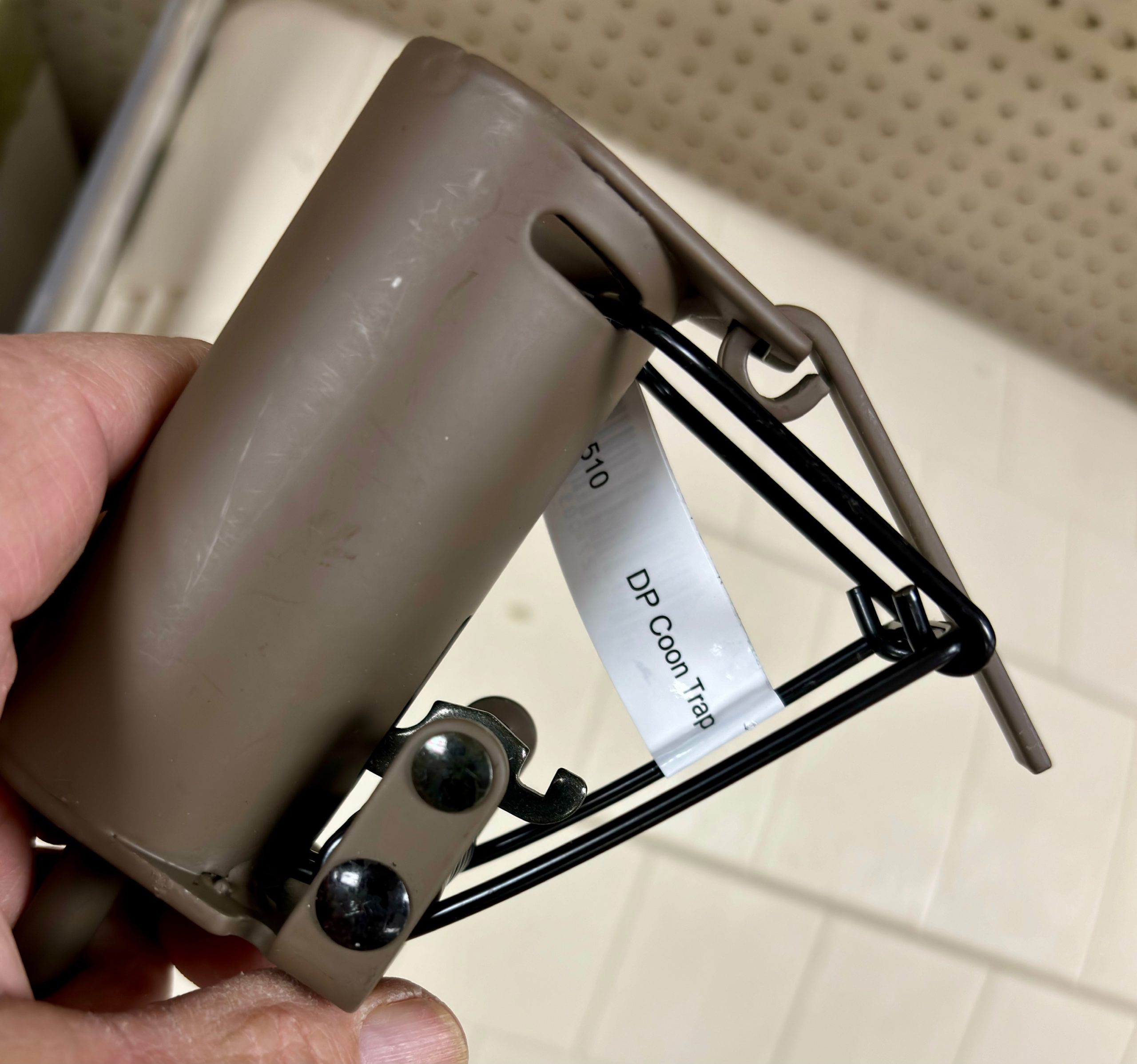 raccoon trapping dog proof trap