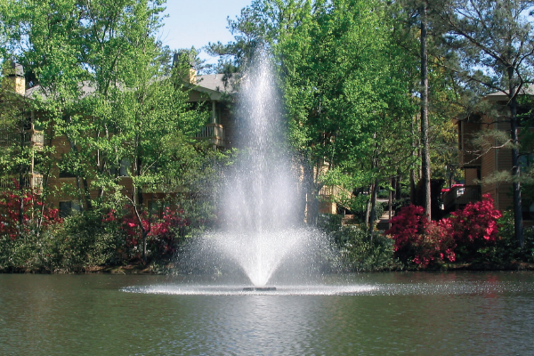 pond fountain