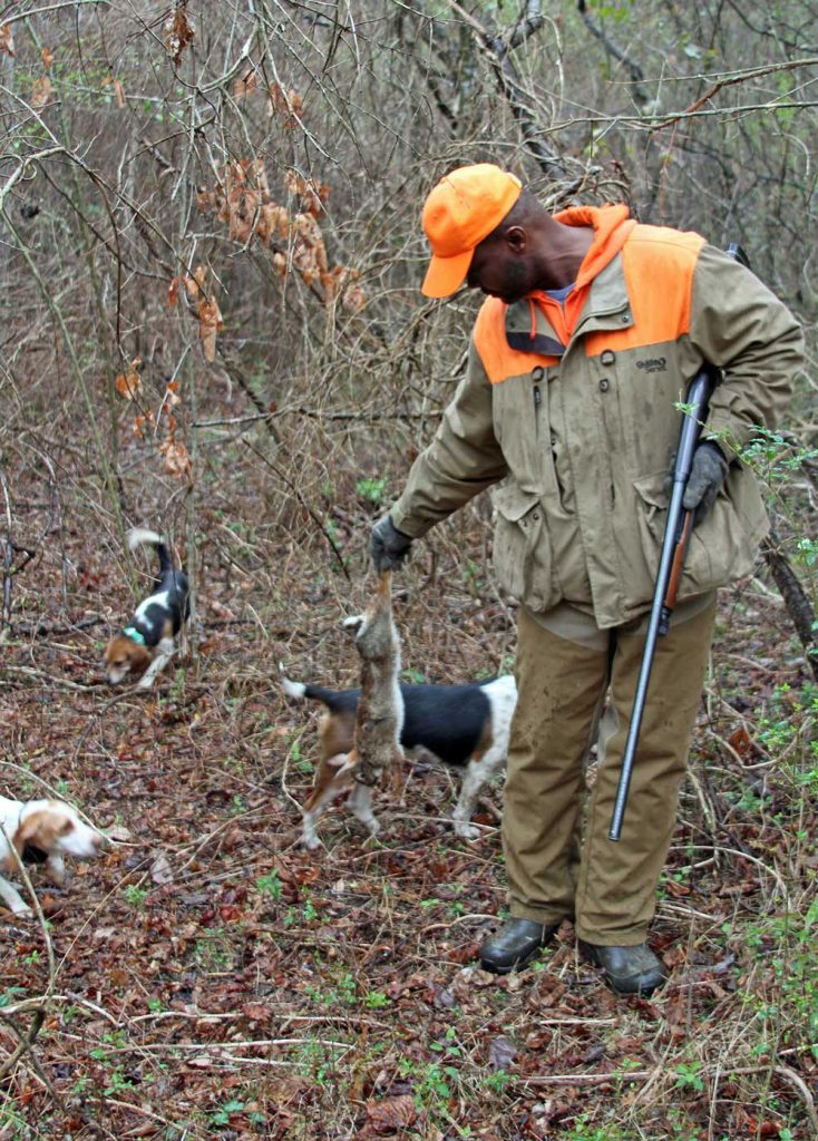 Rabbit Hunting
