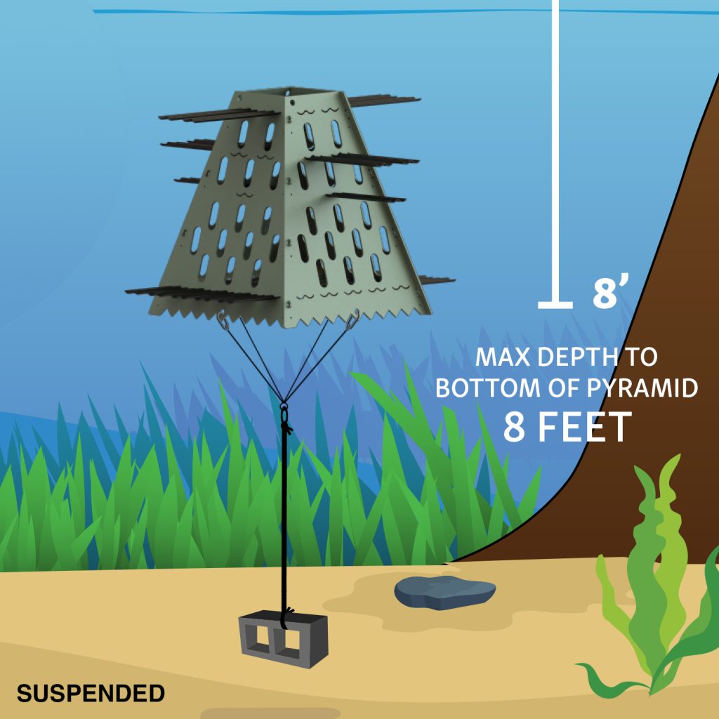 fish attractor pyramid