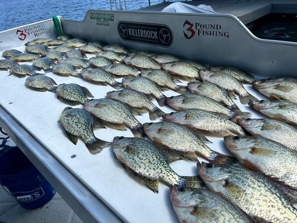 fish cleaning table