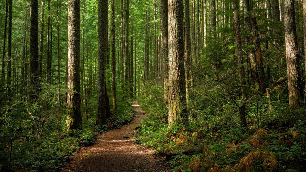 Ways To Make Money With Land