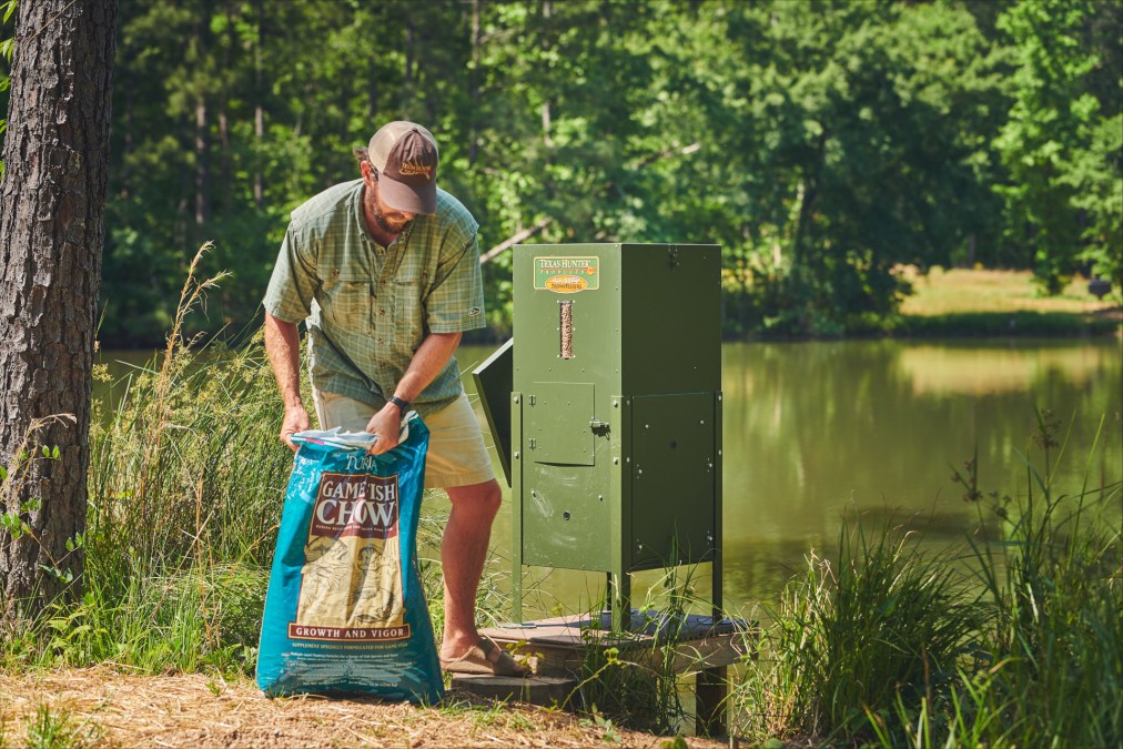 Choosing An Automatic Fish Feeder For Your Pond