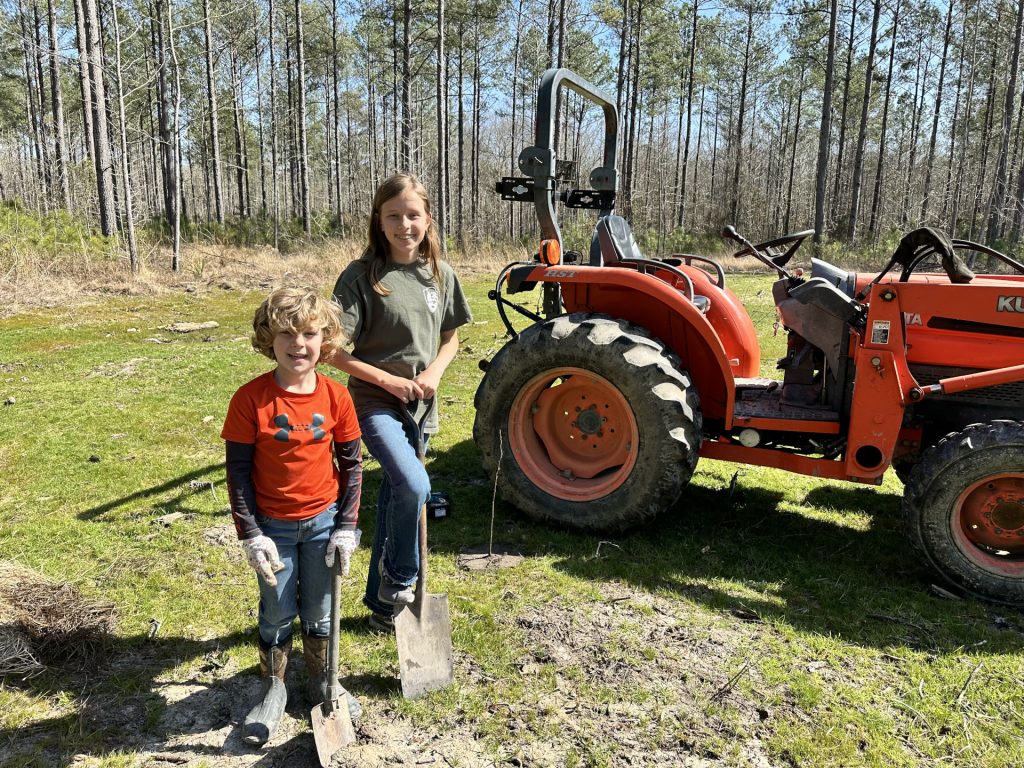 how to make money from your land plating trees