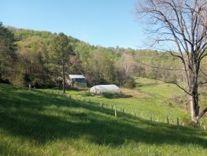 Natural Capital Exchange