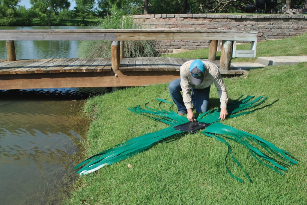 fish attractor grass