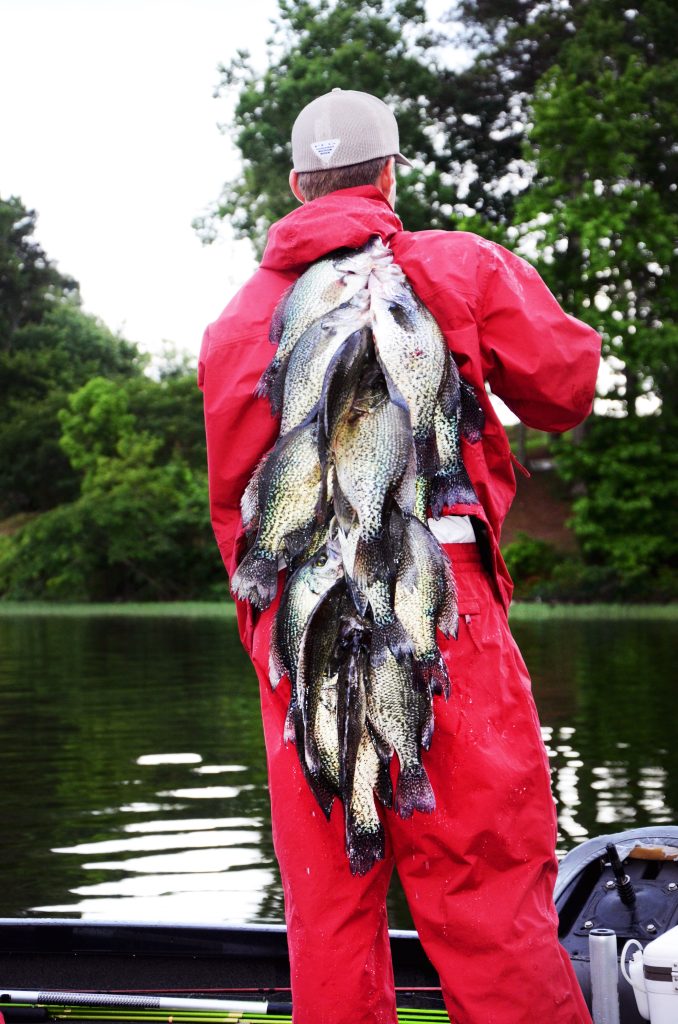 crappie lakes