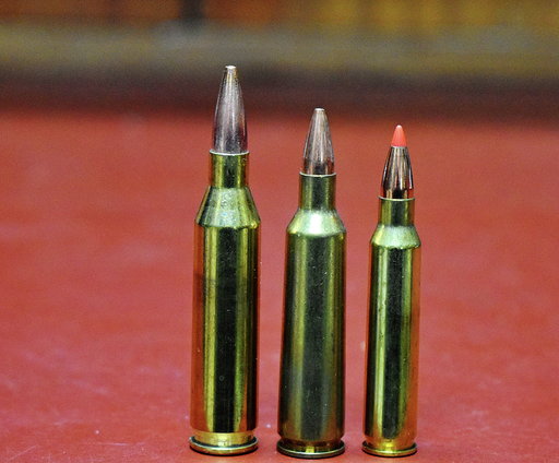 varmint rifle calibers