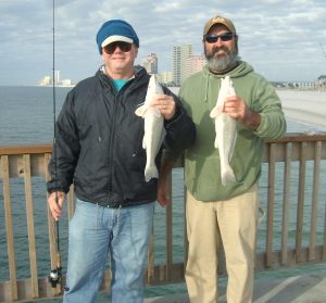 two gulf kingfish