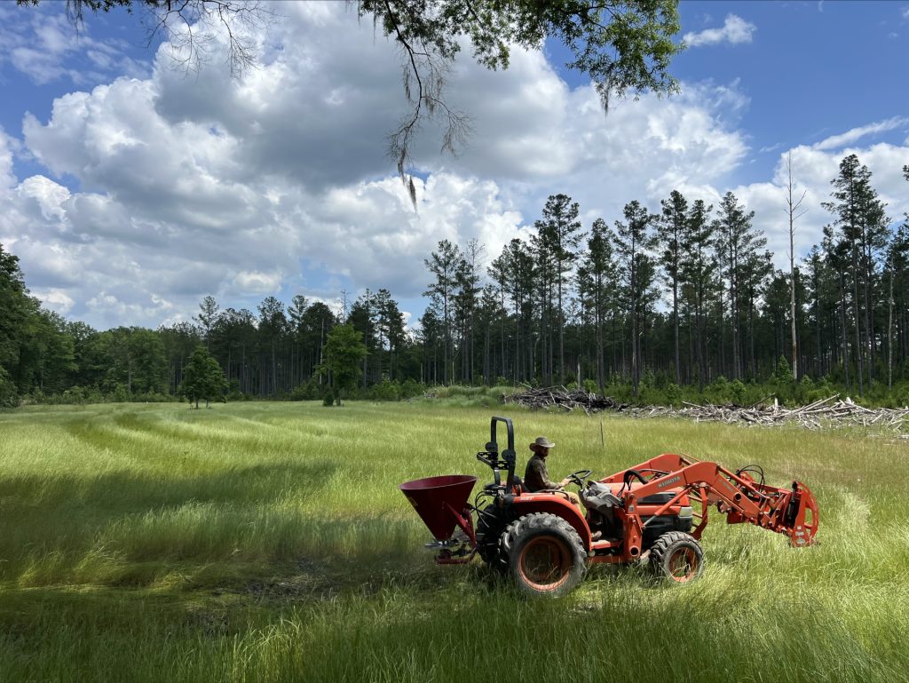 tractor seeding food plot