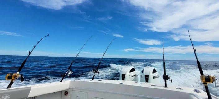 On Top Fishing