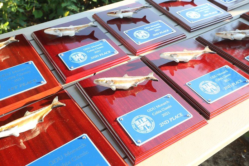 Cobia Classic awards