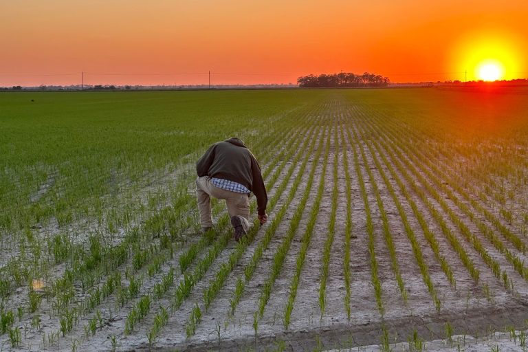 land loans from First South Farm Credit