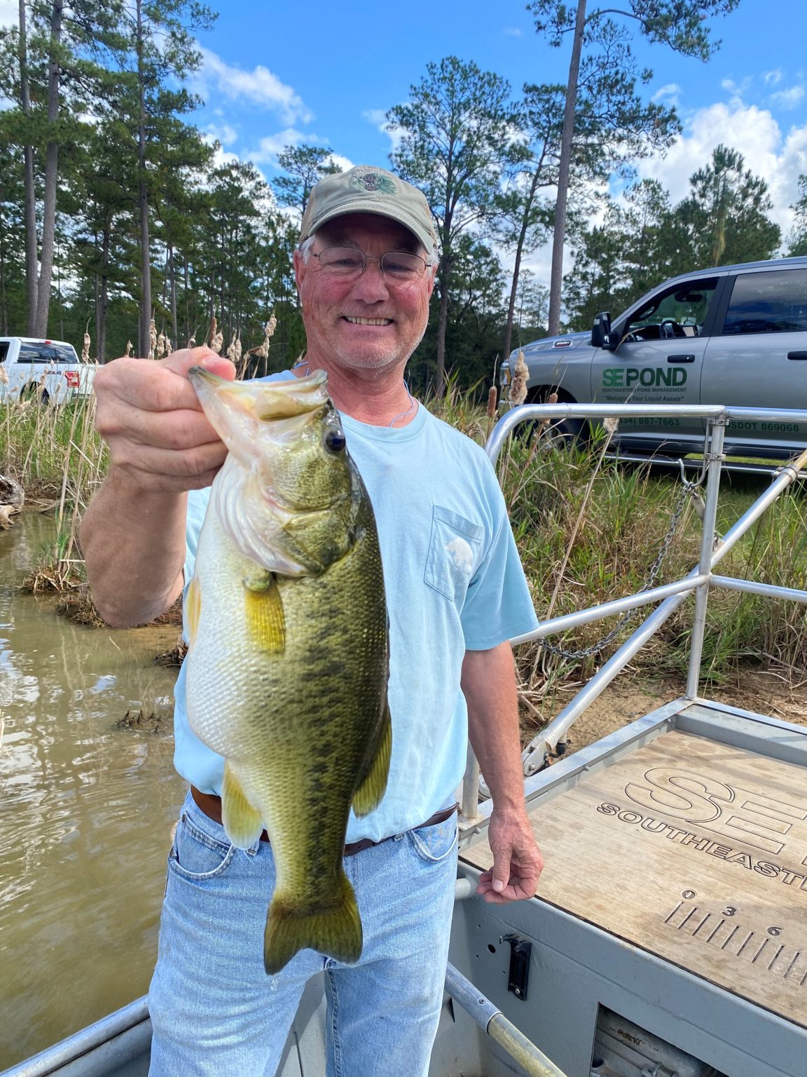 Fodder Fish Choosing the Right Mix of Forage Fish for Pond Stocking