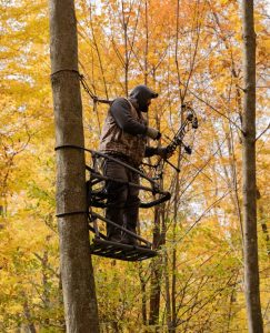 Climbing treestand