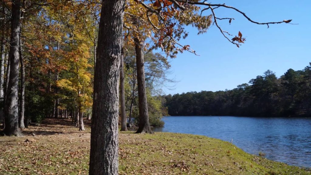 Fall in Mississippi