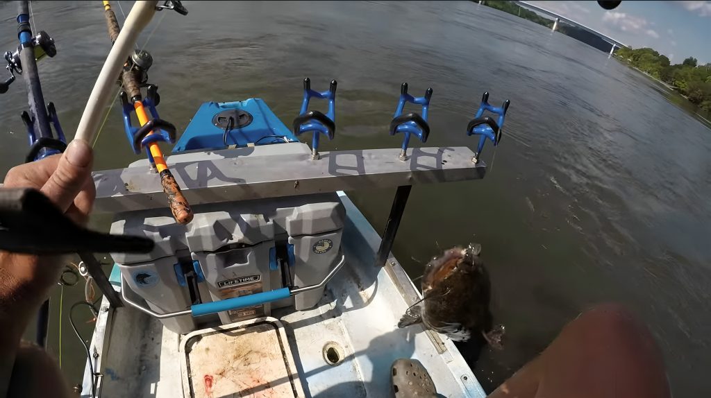 kayak catfish fishing