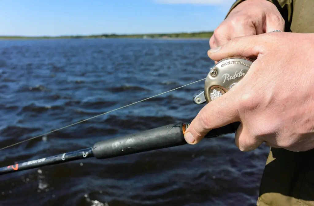 1 shimano stella fj 2500 spinning reel Shimano STL2500HGFK Stella FK Spinning Reel