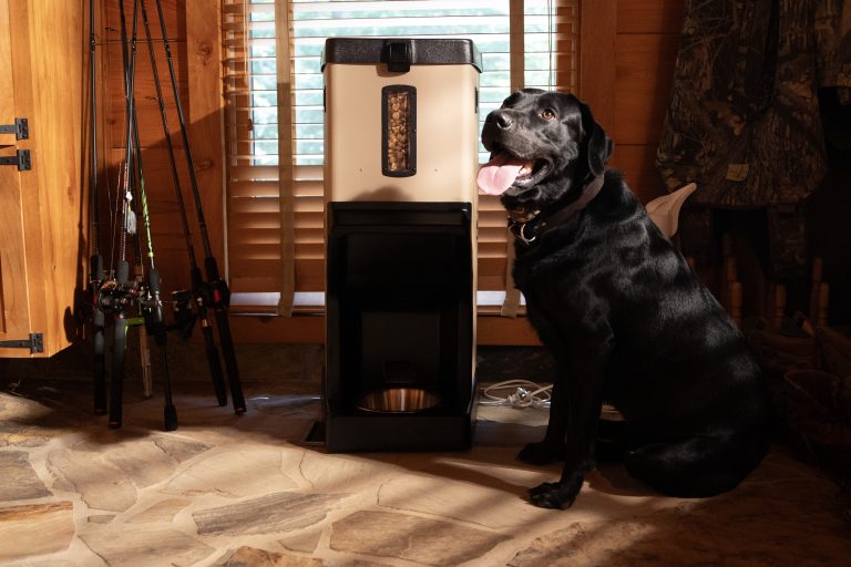Blazer Automatic Dog Feeder