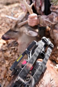 Crossbow hunting