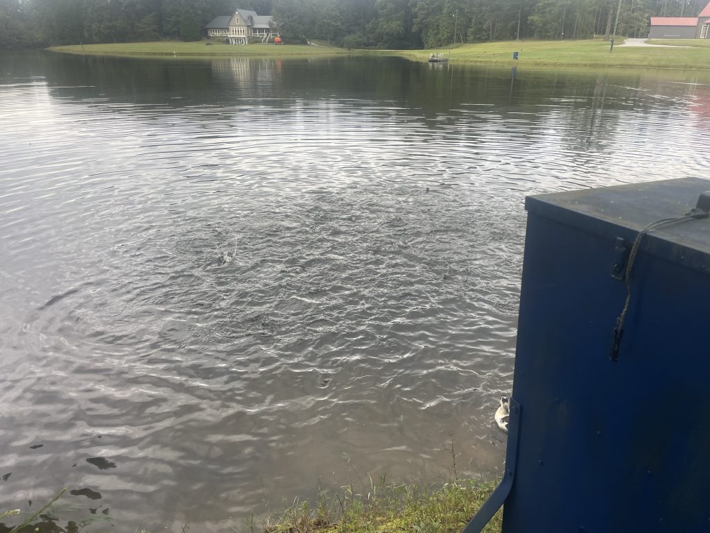 Texas Hunter Fish Feeder