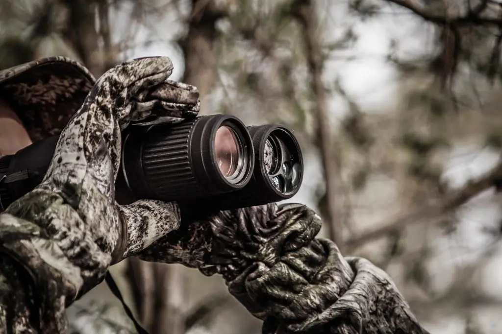 What Magnification is Best for Wildlife Binoculars? Ultimate Guide