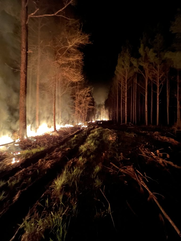 burning underbrush