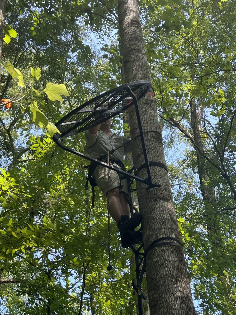 treestand