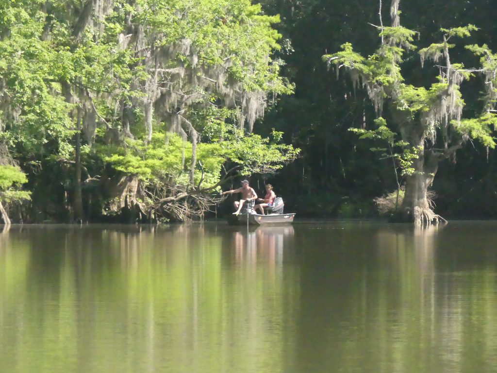 Mississippi Delta