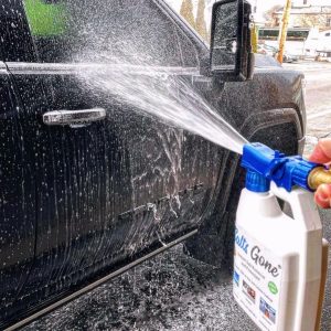 Rust prevention with Salts Gone