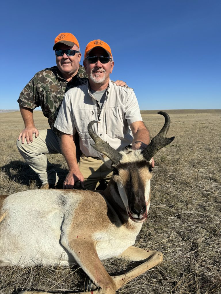 wyoming antelope draw odds