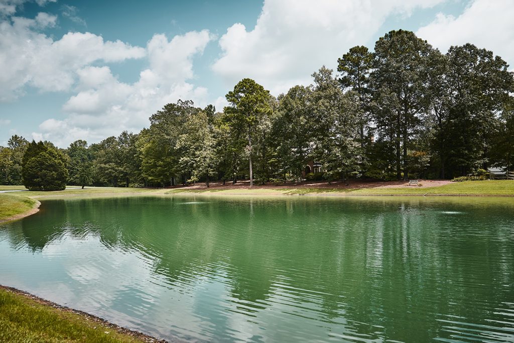 Pond