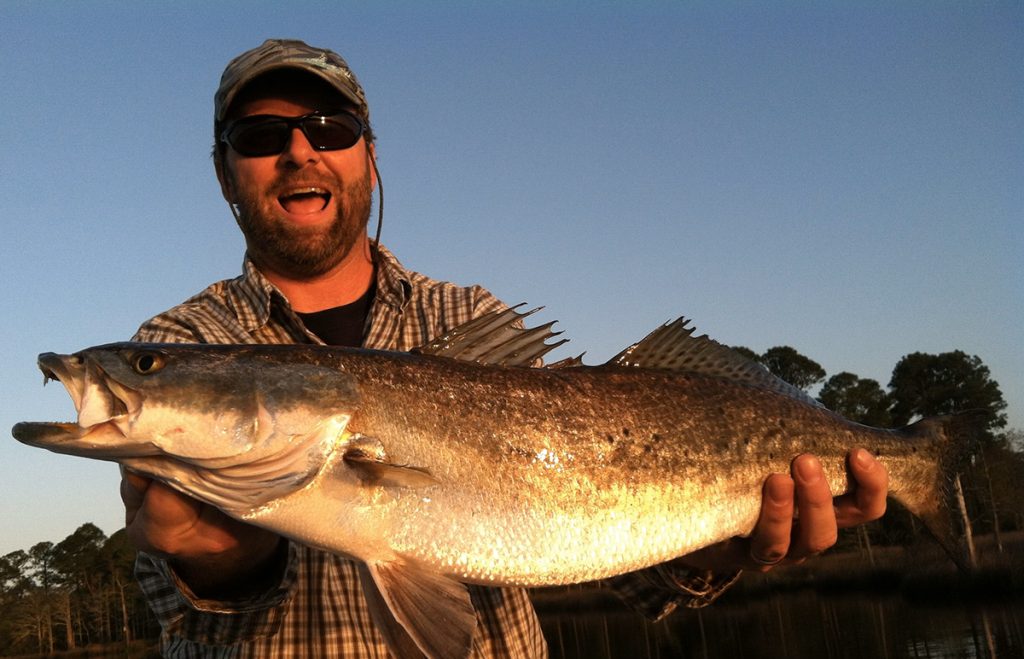 Gator trout