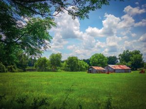 make money with land